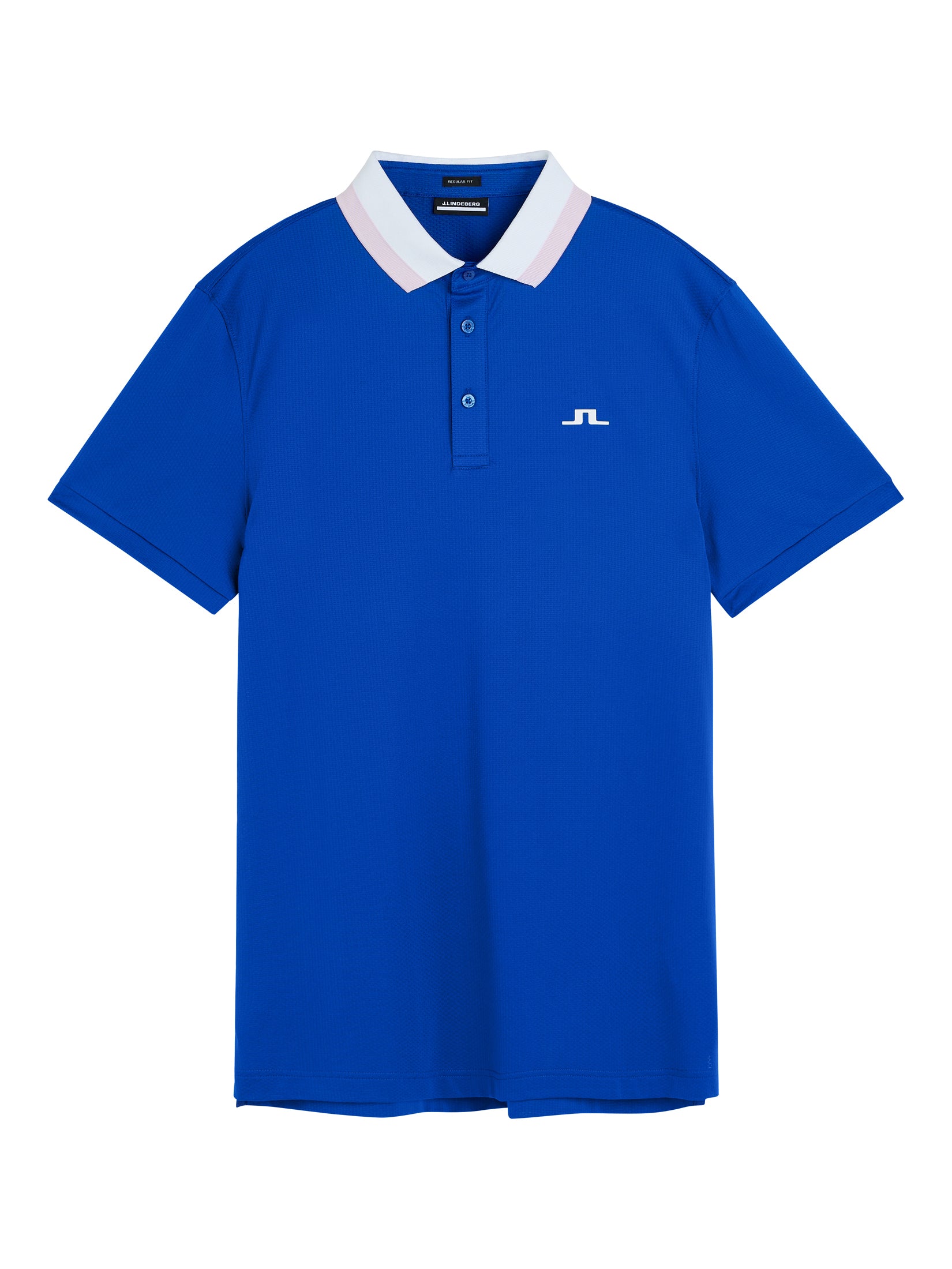 Benji Regular Fit Polo / Surf the Web