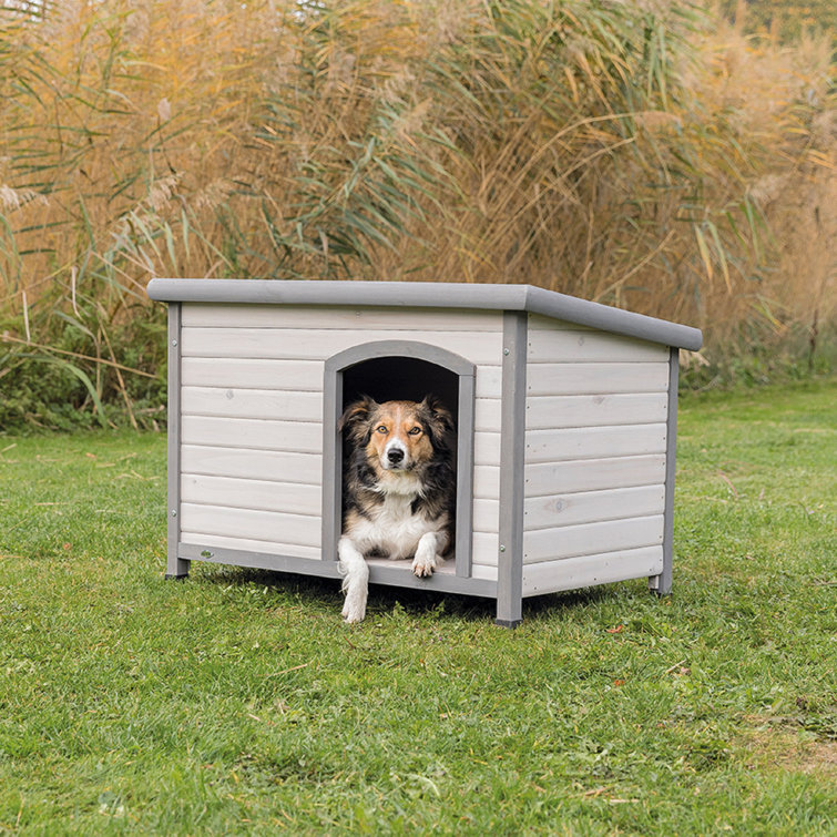 Schillinger Flat Roof Club Dog House